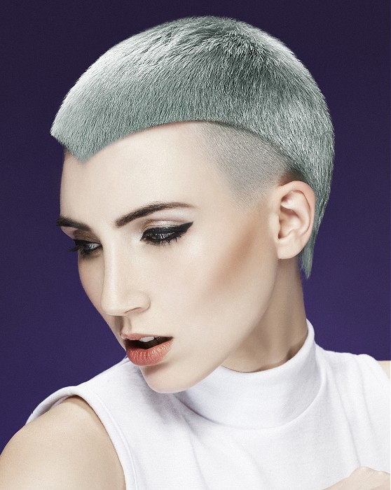 Francesco Group Short Grey Hairstyles